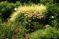 image:ornamental grass
