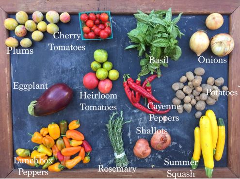 contents of CSA box from Eatwell farm