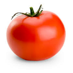 Tomato Variety Testing