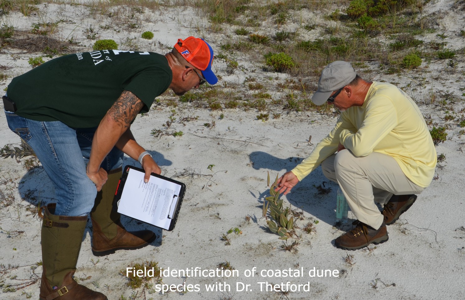 Field identification of coastal dune species with Dr. Thetford