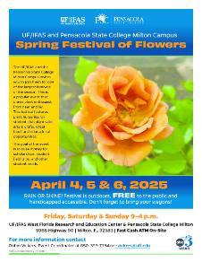 2025 Spring Festival of Flowers Flyer