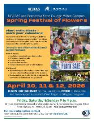 2026 Spring Festival of Flowers Flyer