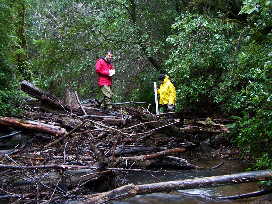 Photo of people standing on large woody debris in a river